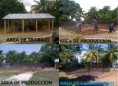 /album/lo-que-hacemos/construccion-vivero-forestal-arroyo-barril-samana-jpg1/